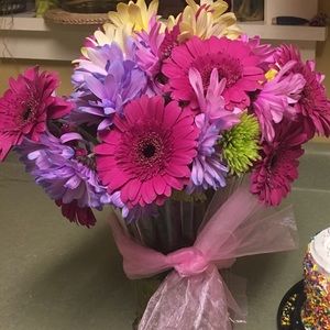 Meet your Posher, Holli